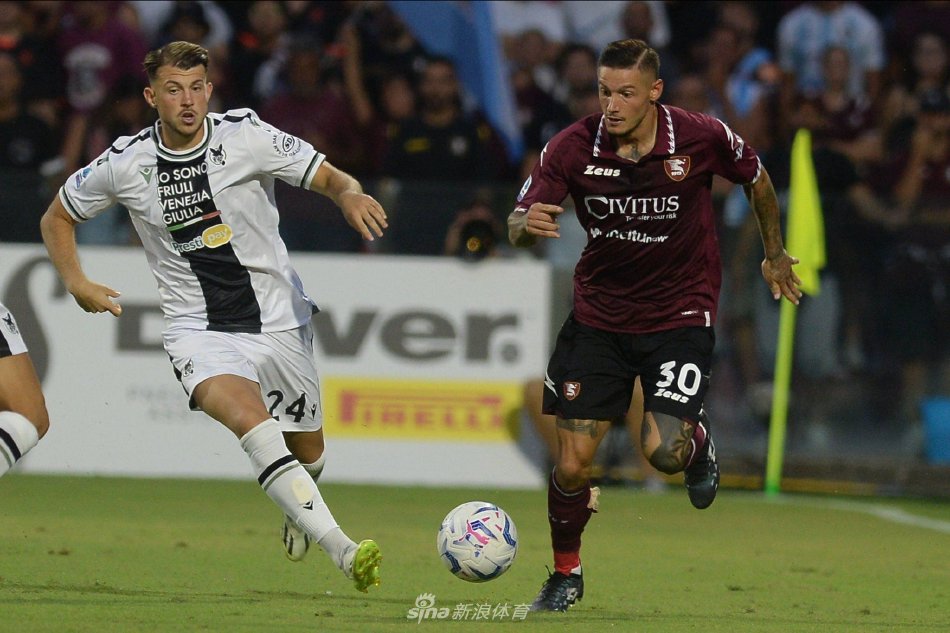 起到了重要 起到了重要